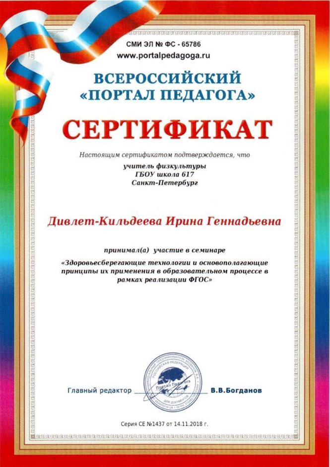 2018-2019 Дивлет-Кильдеева И.Г. (семинар, портал педагога)